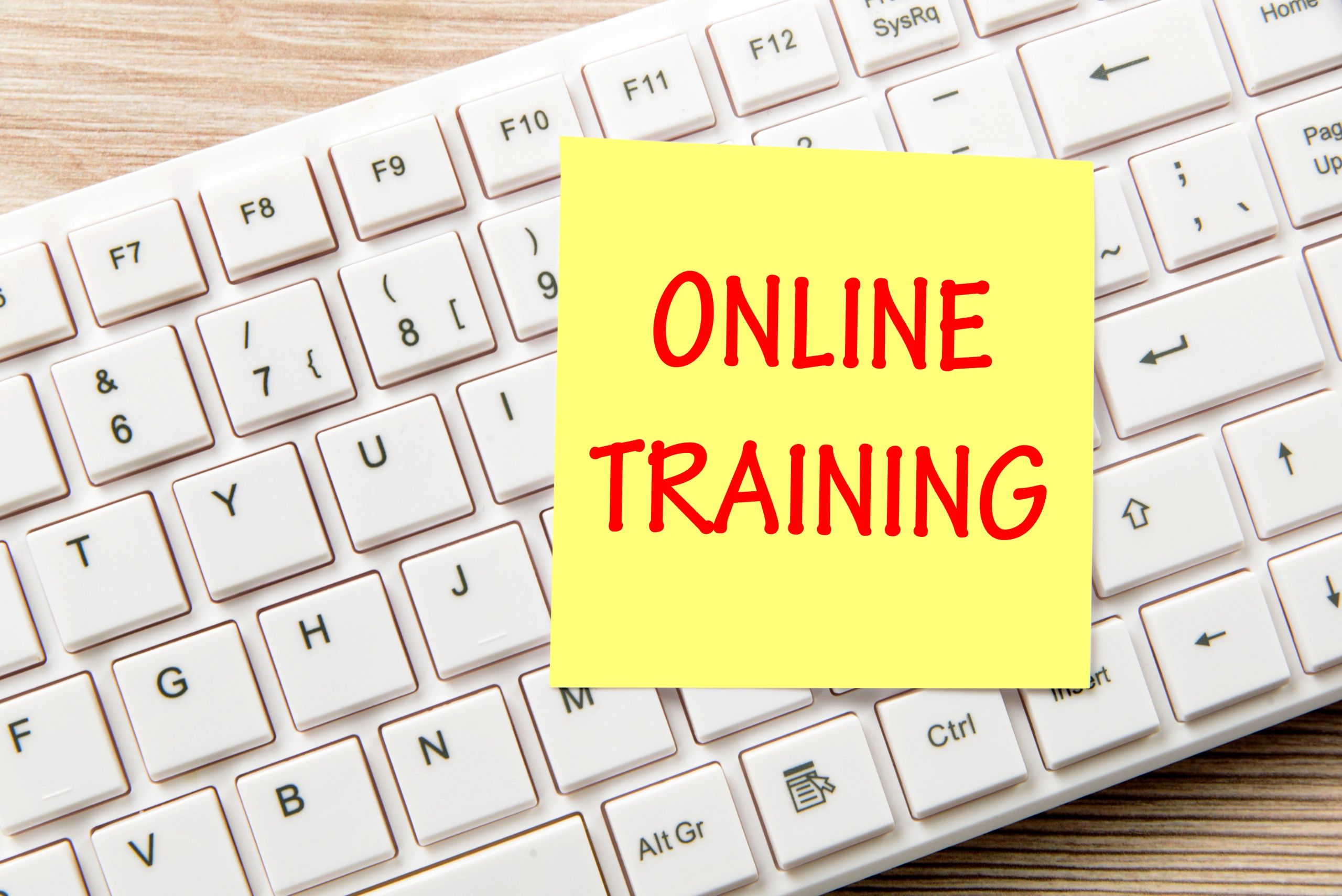 business training online minimal